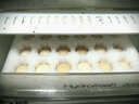 密园小农 北京油鸡蛋土鸡蛋白皮【散养】柴鸡蛋密云农场自产自销 30枚 约1.3kg【部分双黄】 实拍图