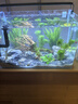西游水族鱼缸水族箱客厅小型迷你桌面免换水生态造景小金鱼缸热弯超白玻璃 长40*宽22*高25-水秀青山款造景全套 实拍图
