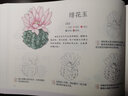 色铅笔的浪漫手绘--呆萌多肉（提笔就画，简单易学，轻轻松松画多肉） 实拍图