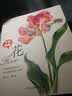 万物我画 植物 实拍图