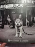 街拍摄影书 街拍摄影艺术（摄影客出品） 实拍图