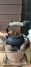 龙颜堂日本进口铁壶煮茶炉电陶炉煮茶器泡茶壶铸铁壶煮茶烧水壶泡茶专用 万寿藤纹 铜钮款1.2L 实拍图