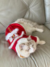 华元宠具（hoopet）猫咪衣服过年喜庆唐装猫猫冬季保暖衣小猫衣服新年拜年舞狮服装 恭喜发财舞狮唐装 L：根据图片尺寸选择 实拍图
