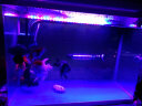 云峰海瑞 LED龙鱼缸灯水陆两用水中水草灯水族箱LED鱼缸灯具防水灯 24键遥控+手控变色28CM 实拍图