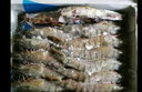品鲜猫 越南活冻黑虎虾（大号） 海鲜大虾家庭聚餐烧烤大虾海鲜水产 850g/10只 实拍图