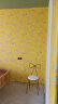 美式墙纸田园花鸟小清新碎花壁纸蓝色黄色简约现代客厅背景墙卧室 轻奢花鸟 TPS-0109 晒单实拍图