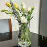墨斗鱼玻璃花瓶透明植物插花瓶水培容器大花瓶装饰客厅摆件直筒款25cm 实拍图