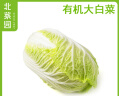 北菜园有机大白菜500g 新鲜有机蔬菜 【进店多样加购】火锅食材 实拍图