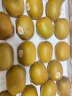 佳沛（zespri）新西兰阳光金奇异果22粒原箱 单果重约146-175g 水果 猕猴桃 实拍图