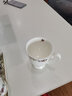 品来运 陶瓷杯子水杯套装冷凉水壶骨瓷耐热茶壶家用喝水具欧式客厅茶杯 富士山水具9件（带骨瓷茶盘） 实拍图
