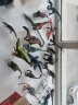 思乐侏罗纪恐龙玩具 恐龙模型南方巨兽龙 儿童仿真动物玩具男孩周岁礼物 雷克斯暴龙幼兽15007 晒单实拍图