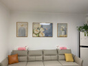 墨派（Mopai）奶油风客厅装饰画2024新款高级感现代简约沙发背景墙挂画三联壁画 花开富贵 中套(左右50x70+中100x70)晶瓷 晒单实拍图