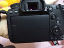 佳能/Canon 60D 70D 80D 77D 90D 二手单反相机 半画幅中端级数码相机 90D 单机 99新 实拍图