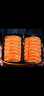 隆港汇新疆三文鱼中段 新鲜日式料理冰鲜鱼 整条刺身背肉生鱼片 三文鱼中段切片 400g 实拍图