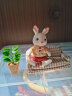 可美乐sylvanian families女孩过家家人偶家具人偶加配件日本进口玩具 巧克力兔爸爸家具套5013 晒单实拍图