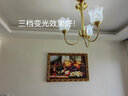 三洛（SANLUO）美式全铜吊灯客厅灯现代简约餐厅灯轻奢卧室饭厅灯2025新款66623 3头吸吊两用款+LED三色泡+包安装 实拍图