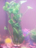 水族箱鱼池鱼缸水草箱造景仿真水草 人物假山珊瑚贝壳假鱼水草塑料水草 仿真植物 鱼缸布景 CL44七指草绿色 高40CM 实拍图