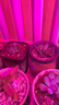 多肉花盆套装个性透气迷你可爱创意地中海美式陶瓷肉肉植物花盆 暖心花盆5件套 实拍图