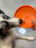 欢宠网宠物狗狗飞盘狗玩具小狗幼犬耐咬磨牙神器边牧比熊金毛柯基大型犬 实拍图