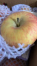 京鲜生 正宗新疆阿克苏苹果 脆甜苹果 2.5kg 果径90-95mm 新鲜水果 实拍图