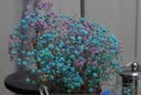 索尼/Sony A5000 A5100  NEX-5T 5R 5c二手半画幅微单相机 奶昔系列 A5100(16-50)套机 颜色随机 准新 实拍图