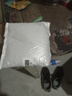高标525白水泥家用防水卫生间美缝填缝补墙堵洞埋地漏速干刮大白 国标525白水泥 1斤【试用装】 实拍图