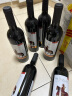 西夫拉姆法国进口红酒 骑士干红葡萄酒 750ml*6瓶 整箱 实拍图