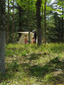NatureHike 挪客ango自动帐篷3人户外防风防雨大门厅帐便携露营野营速开帐 公园套餐一 实拍图