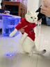 华元宠具（hoopet）猫咪衣服春节过年毛衣秋冬保暖冬季猫衣服防掉毛宠物新年国潮棉衣 【新年】老头毛衣（偏大） S：胸围35cm【建议3-5斤】 实拍图