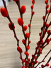 雪柳干枝水插花水培鲜花室内遇水开花客厅阳台观花绿植雪柳花鲜枝水养年宵花卉植物 银柳红色10支80厘米高 不含瓶 实拍图
