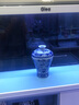 loyo景德镇花瓶青花瓷摆件瓷器工艺品新中式仿古陶瓷博古架装饰品瓷瓶 吉祥八宝梅瓶+匠心打造 实拍图