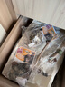 贵为（GiGwi）发声猫玩具小猫幼猫自嗨解闷逗磨牙耐咬猫咪玩具逗猫棒蜜蜂 实拍图