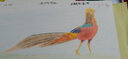 飞乐鸟 彩铅纸 油性专用彩铅画本 水溶性彩铅本空白画画本子绘画专用画纸写生彩铅绘画纸手绘本 【48K 300g 24张】彩铅专用纸（水溶性） 实拍图
