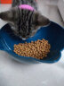 朗仕 品牌猫粮成猫幼猫全价通用天然粮 幼猫专用鲜肉粮1.5kg 实拍图