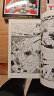 多罗罗 1-4册漫画套装 日文原版 どろろ 1-4 Sunday comics 手冢治虫 手塚治虫 晒单实拍图