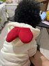 狗狗衣服小中型犬泰迪博美猫咪秋冬新款宠物服饰抓绒卫衣卡通比熊 卫衣大红爱心(抽绳款) M(适合5-8斤) 实拍图