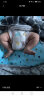 小萌希奥（Cute Seal） 婴儿纸尿裤升级版超薄干爽透气宝宝尿不湿男女纸尿裤/尿不湿 XL码升级版-42片(体重12kg-17kg) 实拍图