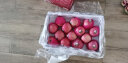 【新店开张】都乐红富士苹果新鲜水果12-16果礼盒装约9斤 晒单实拍图