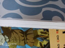 奇妙的数学故事：罗克荒岛历险记（全彩印刷） 晒单实拍图