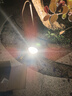京云灿照树灯景观射灯led射树灯户外防水投光灯插地灯草坪灯园林地插灯3瓦（默认地插款暖色） 实拍图