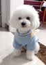 嬉皮狗（hipidog） 狗狗衣服秋冬季泰迪衣服小型犬保暖打底衫防掉毛比熊幼犬衣服 杏色小熊绒衣 S (建议体重4-6斤) 实拍图