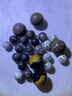 潮典 金刚星月菩提配饰套装手串配珠仿绿松石隔珠散珠子隔片三通diy 圆珠200克/包 实拍图