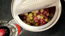 英氏（Engnice） 婴幼儿水果溶溶豆蓝莓火龙果胡萝卜味儿童宝宝辅食6个月零食溶豆 实拍图