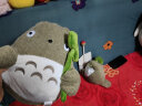 吉吉熊（JIJIXIONG）日本totoro宫崎骏荷叶龙猫公仔玩偶娃娃布偶抱枕毛绒玩具生日礼物 灰色 25cm 晒单实拍图