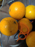 探味君 广西武鸣沃柑 新鲜水果应当季时令橘子桔子整箱 生鲜 净重8.5-9斤 单果70-75mm 实拍图
