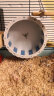 宠尚天 仓鼠跑轮玩具金丝熊跑步机用品跑球运动 星轨跑轮21.5cm -蓝 实拍图