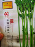 寿禾 芹菜种子香芹四季山芹阳台盆栽种菜蔬菜种冬春季菜种籽 翠竹鲍芹种子 20g 实拍图