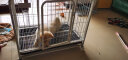 迪熊先生（Mr.Dixiong） 狗笼 狗笼子中型犬大型犬带厕所金毛萨摩哈士奇宠物笼 普通白色 78款建议30以内 实拍图