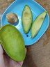 橙小士进口牛油果水果墨西哥秘鲁巨无霸鳄梨应当季宝宝水果辅食 6枚巨无霸装 单个170-210【g】 实拍图