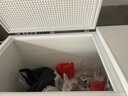 雪花铜管冰柜商用大容量家用冷冻冷藏两用卧式单温双温冷冻小型冰箱大冰柜 雅白色BD/BC【铜管+一级能效】 165L 实拍图